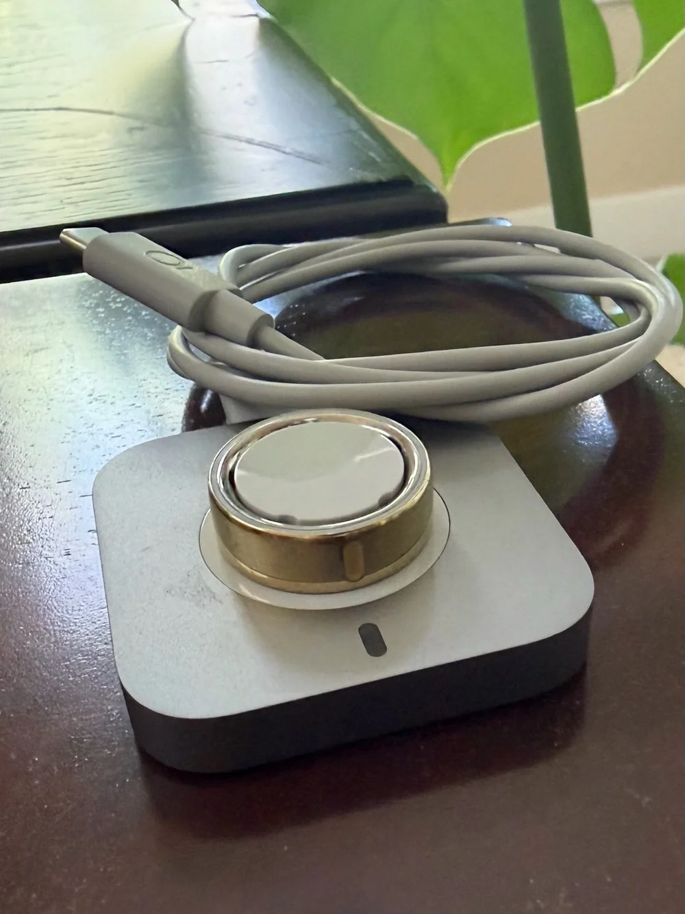 Oura Gold Tone (Gen 4) Size 9
